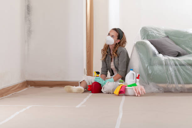 Reliable Mold Removal contractor in Elmhurst, IL by Mold Remediation HQ